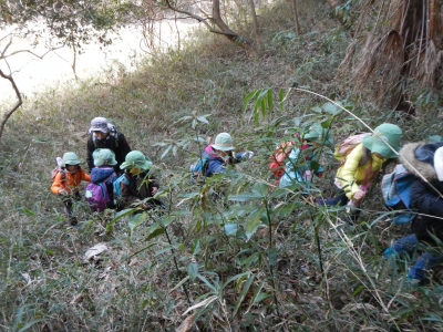 DSCN8668.JPG