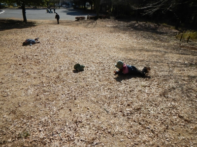 DSCN8682.JPG