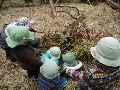 DSCN8713.JPG