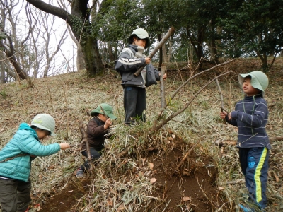 DSCN8723.JPG