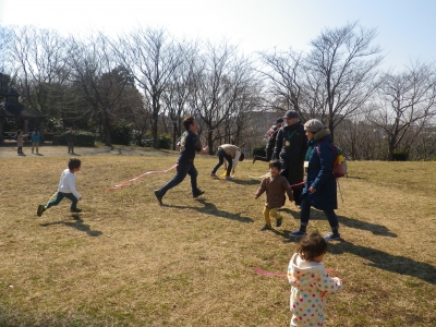 IMGP7333.JPG