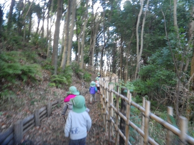 IMGP7461.JPG