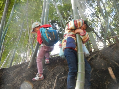 DSCN9350.JPG