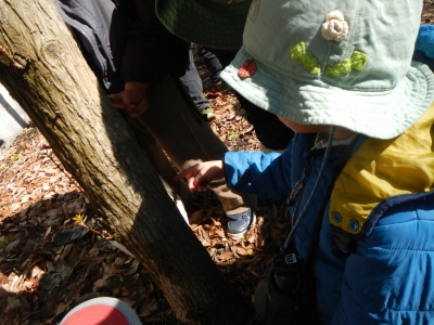 DSCN9351.JPG