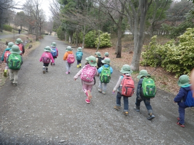 IMGP8291.JPG