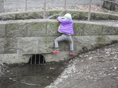 IMGP8295.JPG