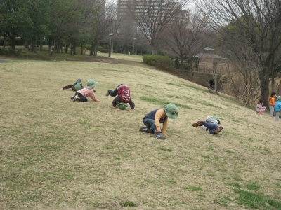 IMGP8311.JPG