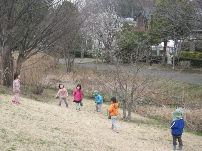 IMGP8316.JPG