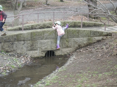 IMGP8318.JPG