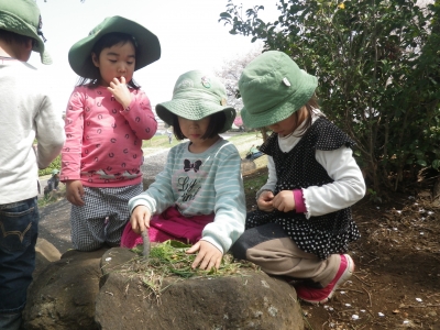 IMGP3375.JPG