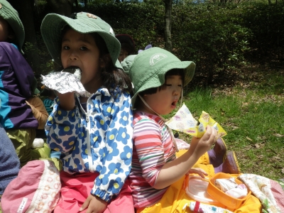 IMGP3527.JPG