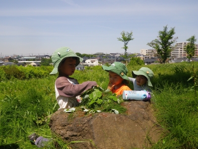 IMGP4148.JPG