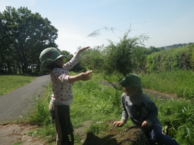 IMGP4155.JPG