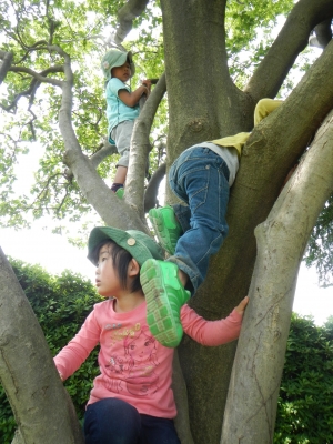 DSCN9607.JPG