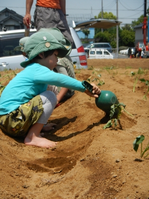 DSCN9591.JPG
