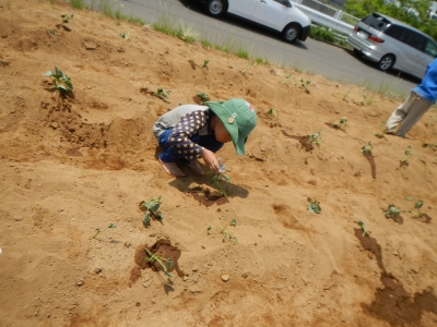DSCN9599.JPG