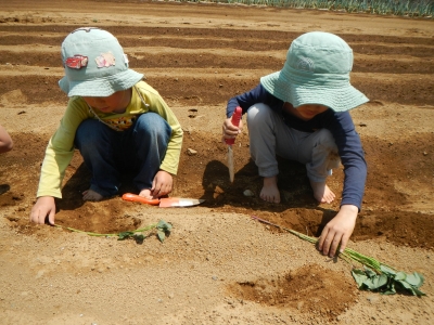 DSCN9575.JPG