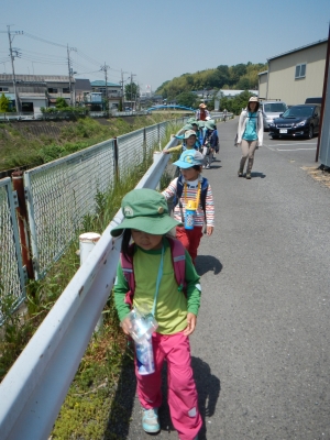 DSCN9572.JPG