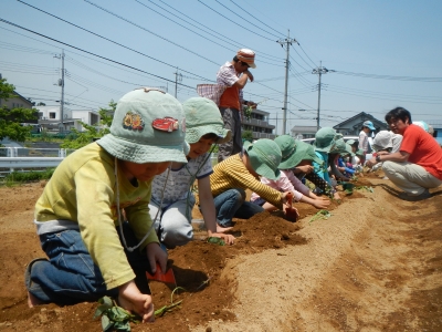 DSCN9579.JPG