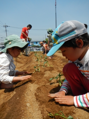 DSCN9582.JPG