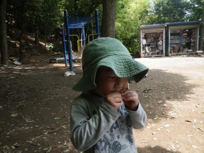 IMGP4346.JPG
