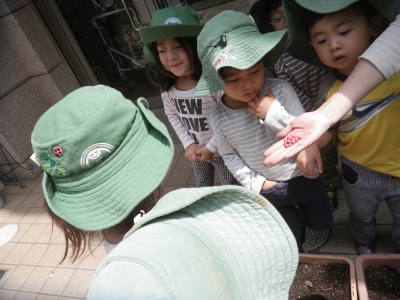 IMGP9771.JPG