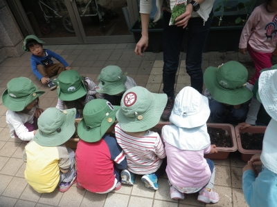 IMGP9774.JPG