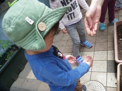 IMGP9786.JPG