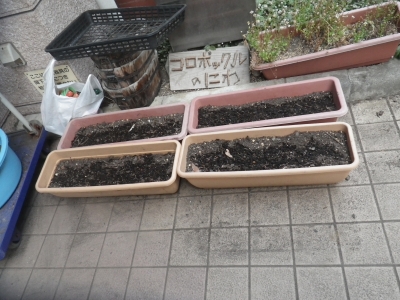 IMGP9842.JPG