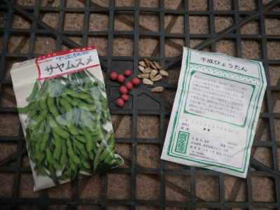 IMGP9843.JPG