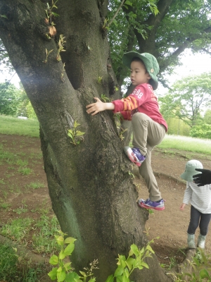 IMGP4527.JPG