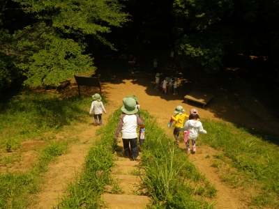 IMGP4547.JPG