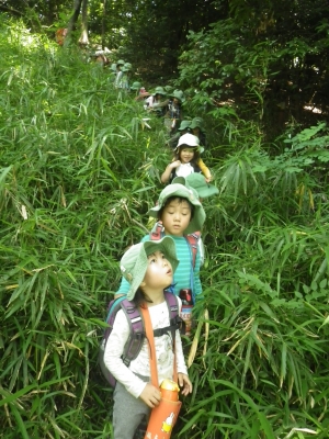 IMGP4558.JPG