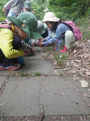 IMGP4612.JPG