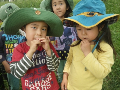 IMGP4627.JPG