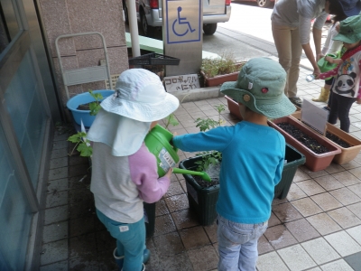 IMGP9935.JPG