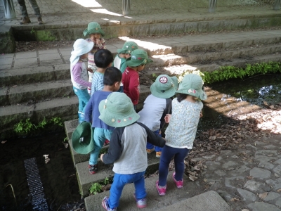 IMGP9947.JPG