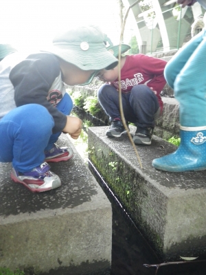 IMGP9948.JPG