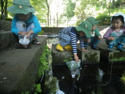 IMGP9964.JPG