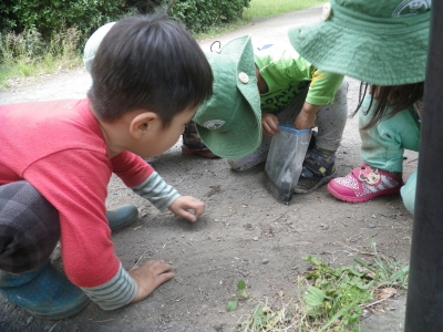 IMGP0027.JPG