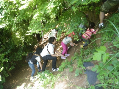 IMGP0118.JPG