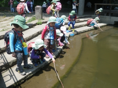 IMGP4705.JPG