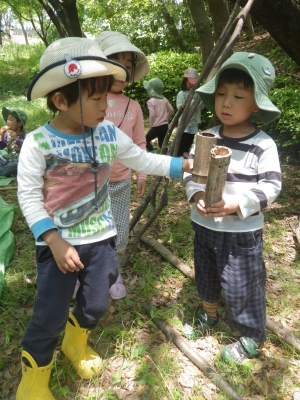 IMGP4726.JPG