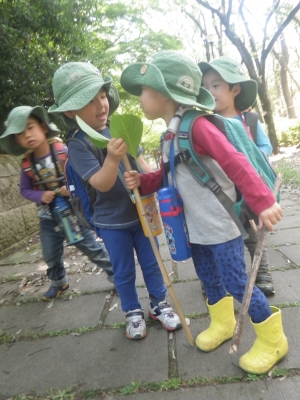 IMGP4799.JPG