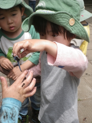 IMGP0379.JPG