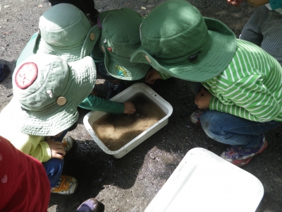 IMGP3481.JPG