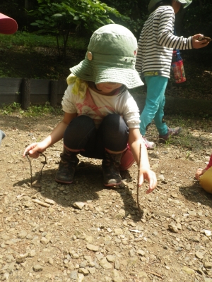 IMGP5027.JPG