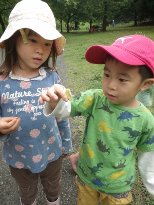 IMGP5081.JPG