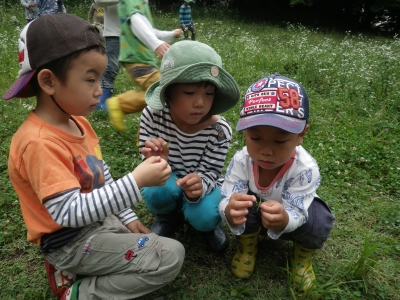 IMGP5092.JPG