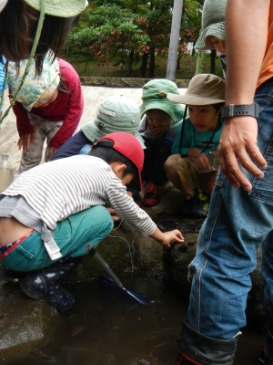 DSCN8451.JPG